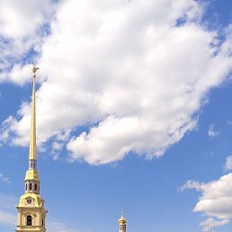 �������, �������, 54 ����