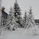 ���� ����, �����������, 73 ���� - ��������� 11 ��� 2025