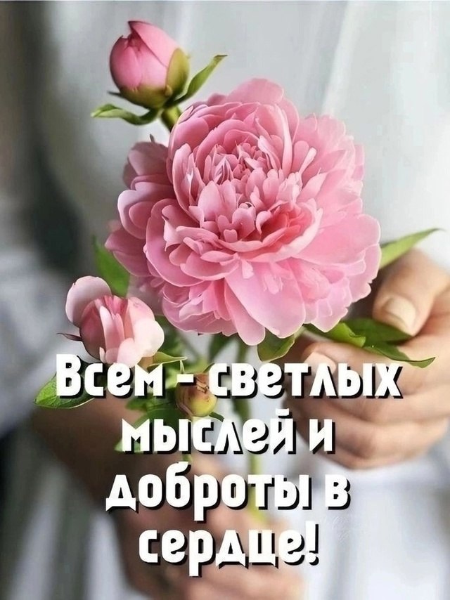     ,     ,    ,   ... - 3