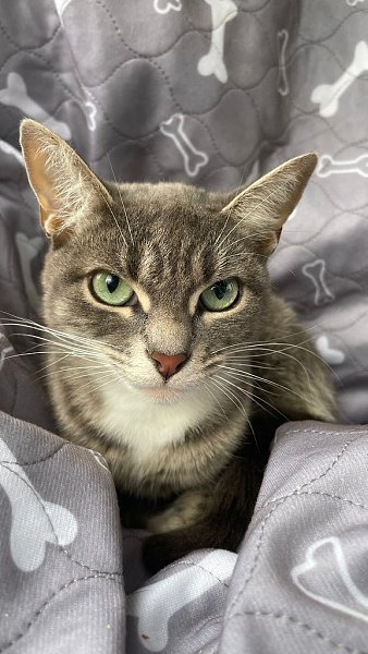 , . , .  ,  ,      .   ... - 4