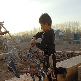 ���� ������, �����������, 37 ��� - ��������� 14 ������� 2023