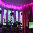 ���� ����, ���������, 62 ���� - ��������� 4 ������ 2026