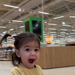 ���� Gvidon, ������, 33 ���� - ��������� 13 ������ 2026