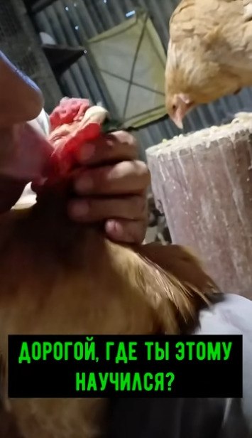   ,     ! -,     ? - ,  ...