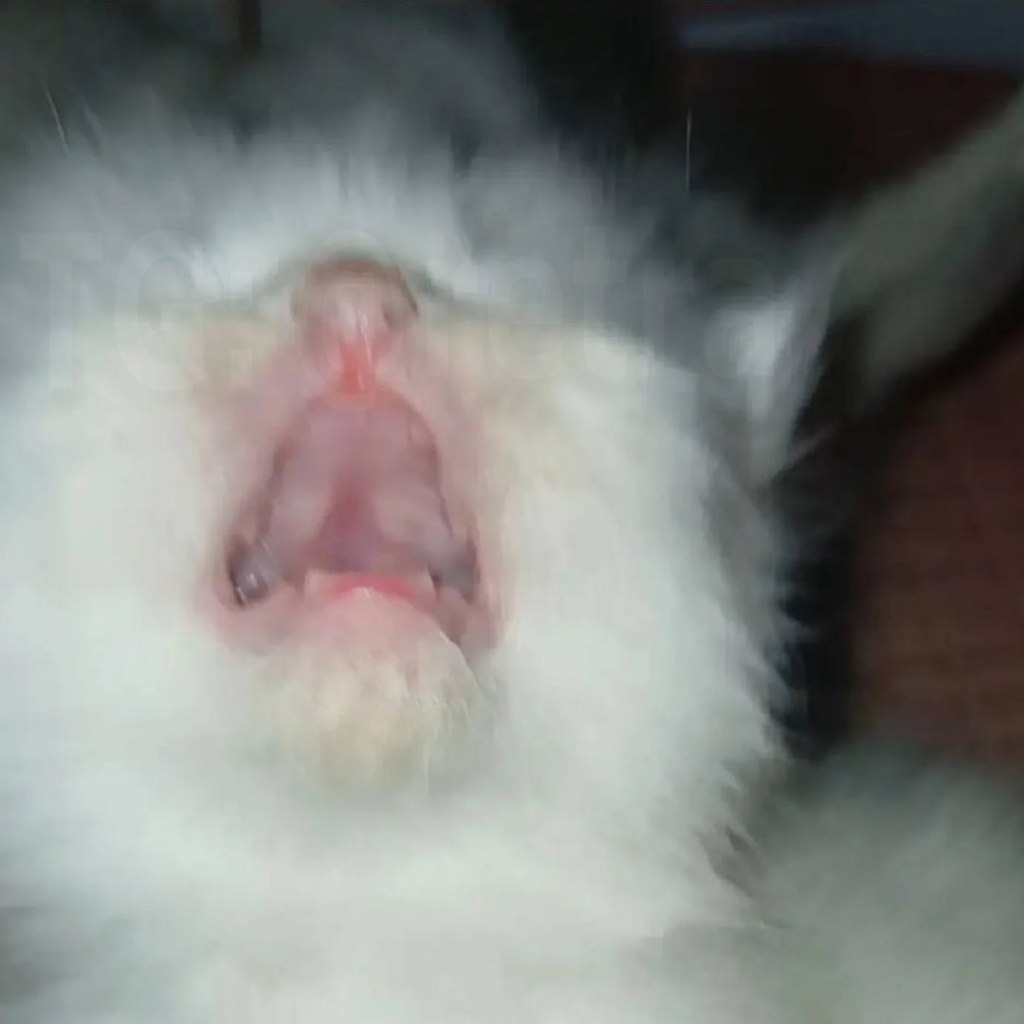  , .       ,  ... - 3
