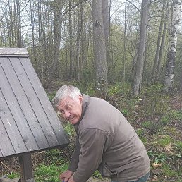 �������� ������, �������, 66 ���