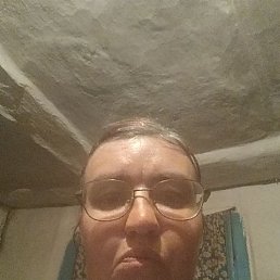 , 37, 