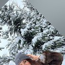  ,  -  13  2024    