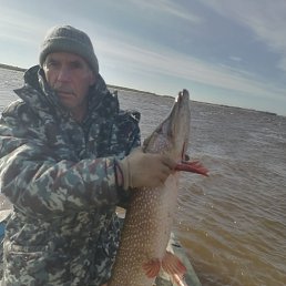 ���� �������, �����������, 66 ��� - ��������� 22 ������� 2025