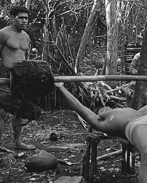  1966            .     ... - 5