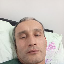  , 43, 