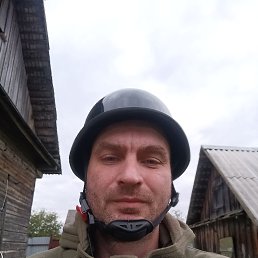 , 41, 