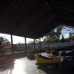 ����, ���������, 39 ���