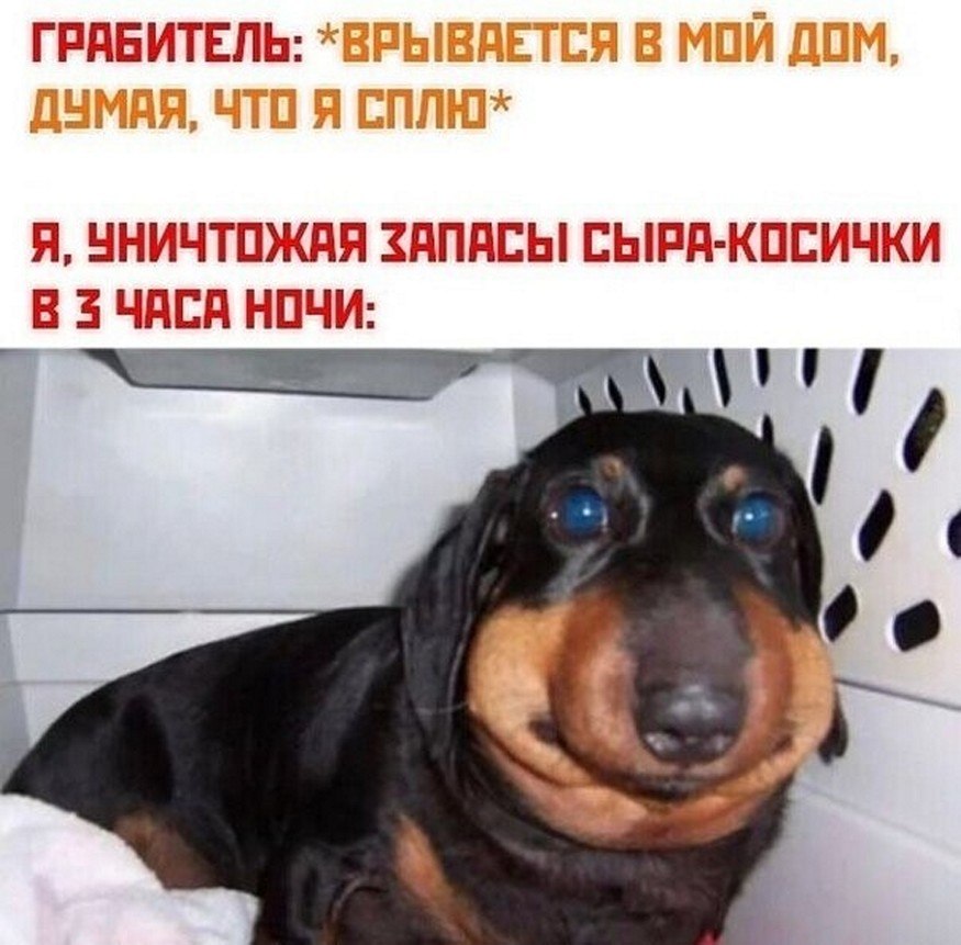 ? ,  ! - 14  2025  06:37