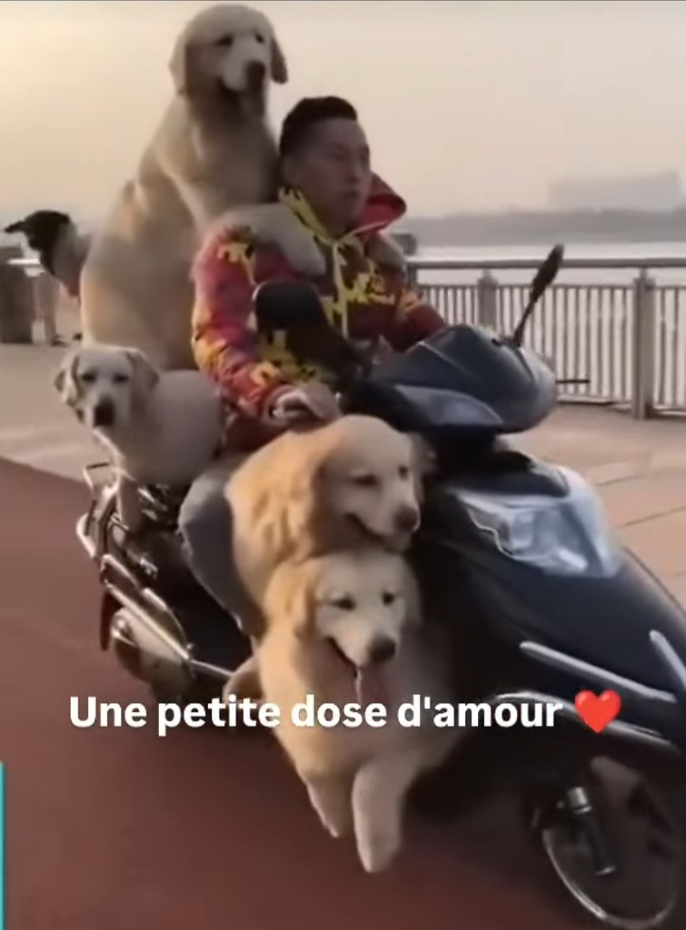   ... - 3