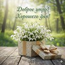 ���� ���� Ը�������, ������ - ��������� 22 ����� 2026 � ������ ���� ����������