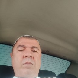 , 52, 