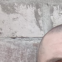 �����, �������, 44 ����