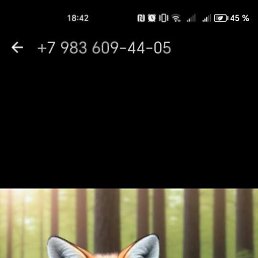  , , 38  -  3  2023