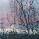 ���� �����, ������, 69 ��� - ��������� 14 ������� 2025 � ������ ���� ����������