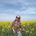 ���� �������, ���������, 57 ��� - ��������� 21 ������ 2025 � ������ ���� ����������