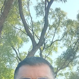 , 37, -