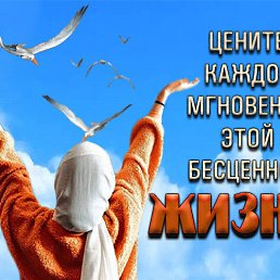 ���� �������, �����������, 30 ��� - ��������� 28 ���� 2024