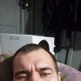 ������� ��������, 33 ����, ������