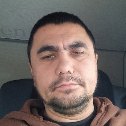 �����, ������, 41 ���