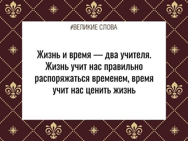   | ,    - 14  2024  11:42