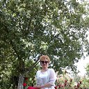 ���� ������, ������, 105 ��� - ��������� 29 ����� 2024 � ������ ���� ����������