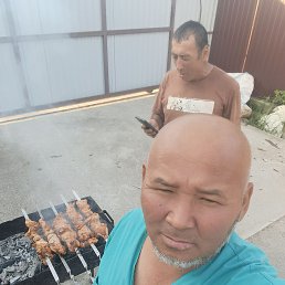 ������, 48 ���, ���������