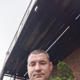 , 41, 