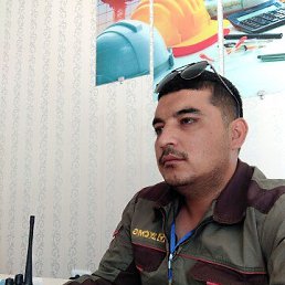 , 37, 