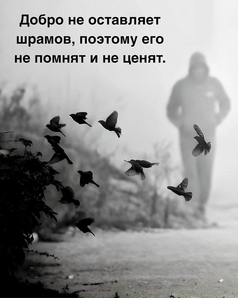    -    .   ,  ,    ,  ...