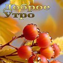  -65+,  -  29  2025    