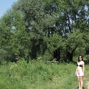 , 38 , 