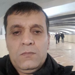 �����, ���������, 49 ���