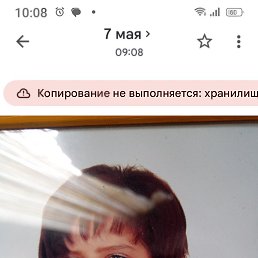 ���� ����, �����������, 48 ��� - ��������� 7 ���� 2026