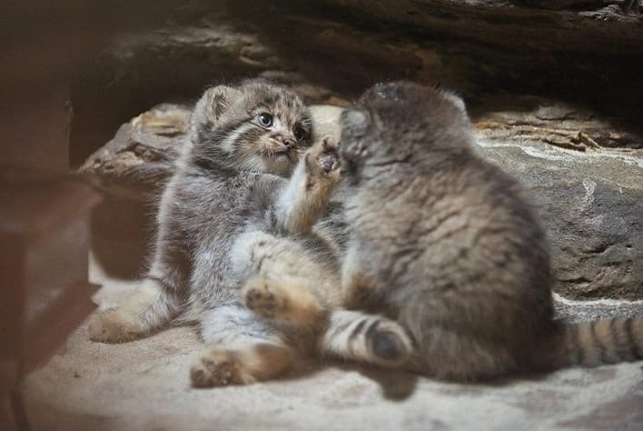 �������� ����� ��������� � ����� ��������! - 6