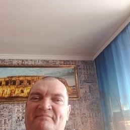 ���� ������, �����������, 48 ��� - ��������� 12 ������ 2024