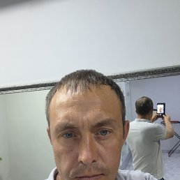 , 41, 