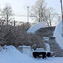 ���� �������, �����, 39 ��� - ��������� 23 ������ 2026 � ������ �������