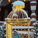 ���� �������, �������-���������, 62 ���� - ��������� 26 ������ 2026