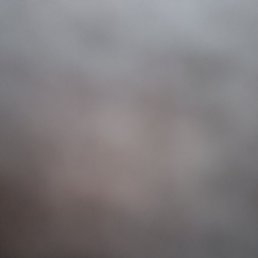 ������, ������, 40 ���