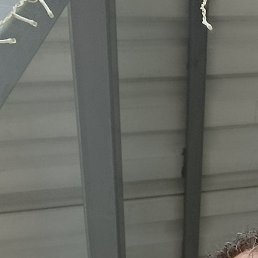 ����, ������, 56 ���