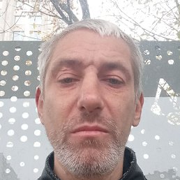 ���� ���������, ������, 41 ���