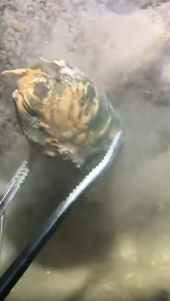 ��������� ����� �� ������ - 2