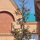 ���� ???&deg;?????????&deg;, ������, 43 ���� - ��������� 11 ������ 2024 � ������ ���� ����������