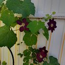 ���� �������, ������� - ��������� 20 ������� 2023 � ������ ����